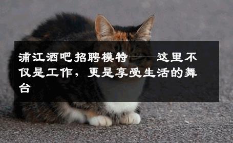 浦江酒吧招聘模特——这里不仅是工作，更是享受生活的舞台