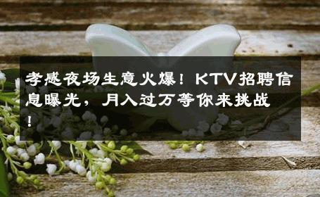 孝感夜场生意火爆！KTV招聘信息曝光，月入过万等你来挑战！