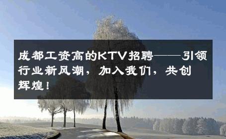 成都工资高的KTV招聘——引领行业新风潮，加入我们，共创辉煌！