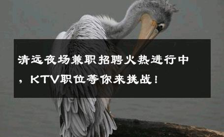 清远夜场兼职招聘火热进行中，KTV职位等你来挑战！