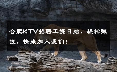 合肥KTV招聘工资日结，轻松赚钱，快来加入我们！