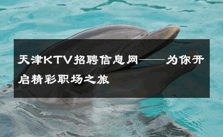 天津KTV招聘信息网——为你开启精彩职场之旅