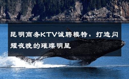昆明商务KTV诚聘模特，打造闪耀夜晚的璀璨明星