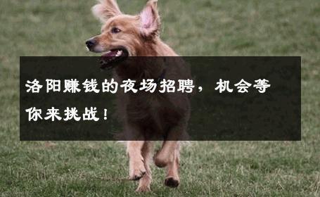 洛阳赚钱的夜场招聘，机会等你来挑战！
