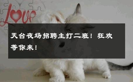 天台夜场招聘主打二班！狂欢等你来！