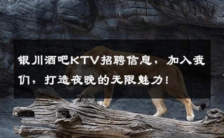 银川酒吧KTV招聘信息，加入我们，打造夜晚的无限魅力！