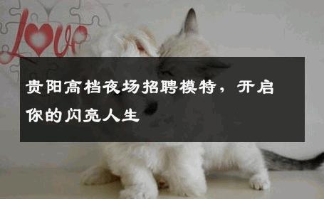 贵阳高档夜场招聘模特，开启你的闪亮人生