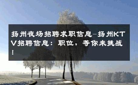 扬州夜场招聘求职信息-扬州KTV招聘信息：职位，等你来挑战！