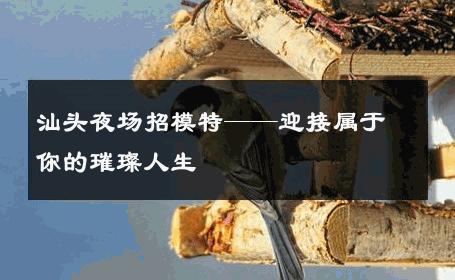 汕头夜场招模特——迎接属于你的璀璨人生