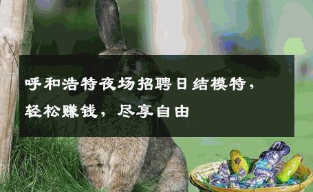 呼和浩特夜场招聘日结模特，轻松赚钱，尽享自由