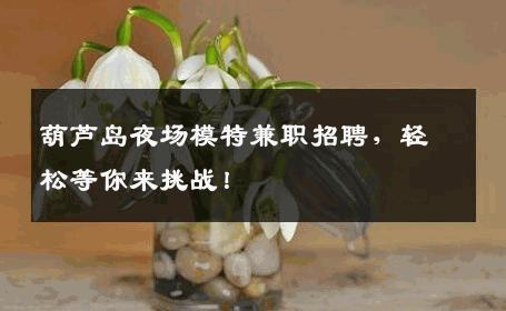 葫芦岛夜场模特兼职招聘，轻松等你来挑战！