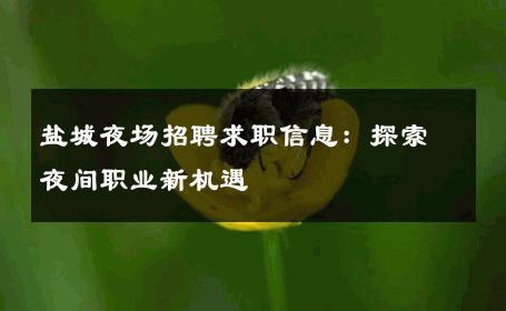 盐城夜场招聘求职信息：探索夜间职业新机遇