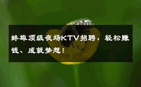 蚌埠顶级夜场KTV招聘，轻松赚钱、成就梦想！