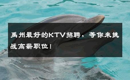 禹州最好的KTV招聘，等你来挑战高薪职位！