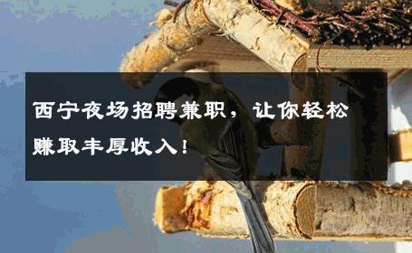 西宁夜场招聘兼职，让你轻松赚取丰厚收入！