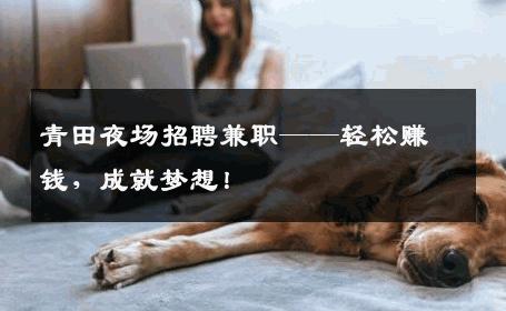 青田夜场招聘兼职——轻松赚钱，成就梦想！