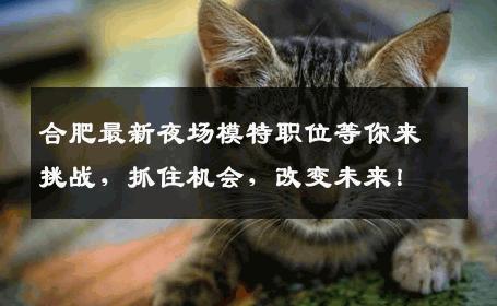 合肥最新夜场模特职位等你来挑战，抓住机会，改变未来！