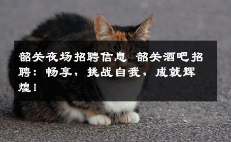 韶关夜场招聘信息-韶关酒吧招聘：畅享，挑战自我，成就辉煌！