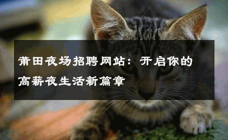 莆田夜场招聘网站：开启你的高薪夜生活新篇章