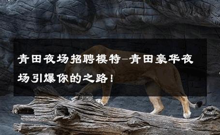 青田夜场招聘模特-青田豪华夜场引爆你的之路！