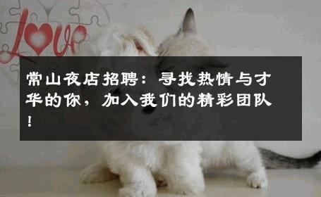 常山夜店招聘：寻找热情与才华的你，加入我们的精彩团队！