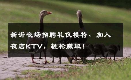 新沂夜场招聘礼仪模特，加入夜店KTV，轻松赚取！