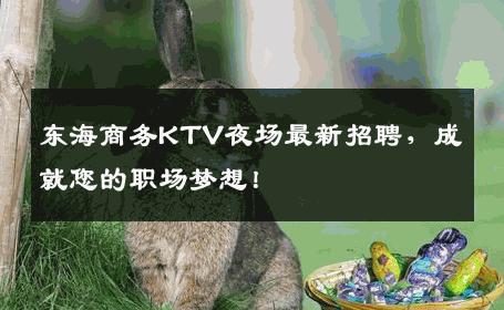 东海商务KTV夜场最新招聘，成就您的职场梦想！