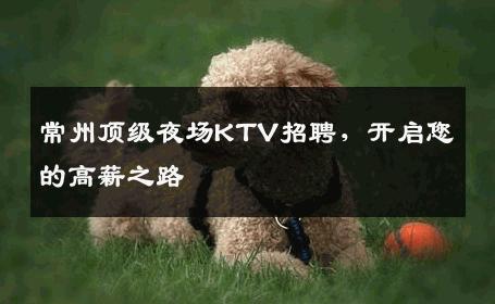 常州顶级夜场KTV招聘，开启您的高薪之路