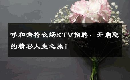 呼和浩特夜场KTV招聘，开启您的精彩人生之旅！