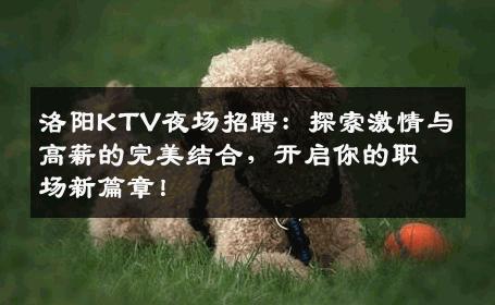 洛阳KTV夜场招聘：探索激情与高薪的完美结合，开启你的职场新篇章！