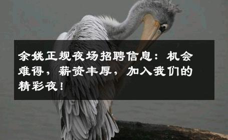 余姚正规夜场招聘信息：机会难得，薪资丰厚，加入我们的精彩夜！