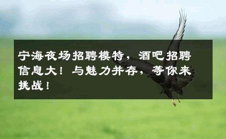 宁海夜场招聘模特，酒吧招聘信息大！与魅力并存，等你来挑战！