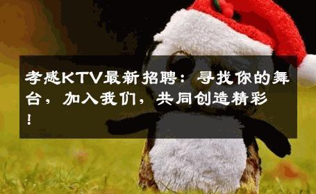 孝感KTV最新招聘：寻找你的舞台，加入我们，共同创造精彩！
