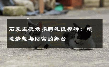 石家庄夜场招聘礼仪模特：塑造梦想与财富的舞台