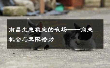 南昌生意稳定的夜场——商业机会与无限潜力