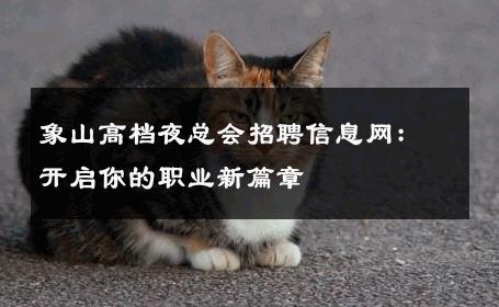 象山高档夜总会招聘信息网：开启你的职业新篇章