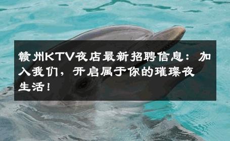 赣州KTV夜店最新招聘信息：加入我们，开启属于你的璀璨夜生活！
