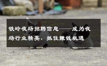 铁岭夜场招聘信息——成为夜场行业精英，抓住赚钱机遇