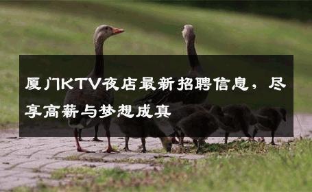 厦门KTV夜店最新招聘信息，尽享高薪与梦想成真