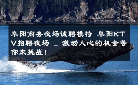 阜阳商务夜场诚聘模特-阜阳KTV招聘夜场 _ 激动人心的机会等你来挑战！