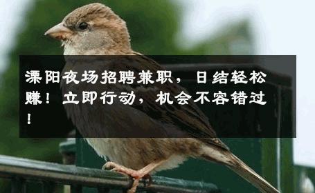 溧阳夜场招聘兼职，日结轻松赚！立即行动，机会不容错过！