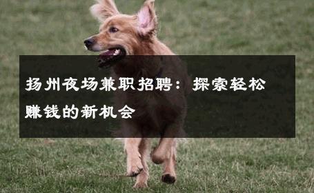 扬州夜场兼职招聘：探索轻松赚钱的新机会