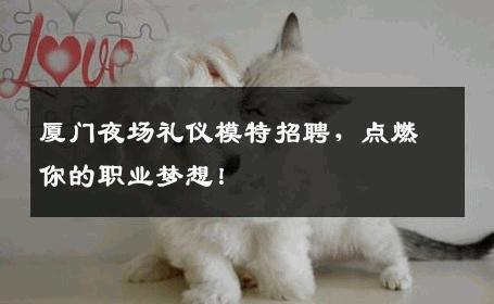 厦门夜场礼仪模特招聘，点燃你的职业梦想！