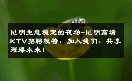 昆明生意稳定的夜场-昆明高端KTV招聘模特，加入我们，共享璀璨未来！