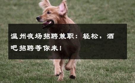 温州夜场招聘兼职：轻松，酒吧招聘等你来！