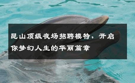 昆山顶级夜场招聘模特，开启你梦幻人生的华丽篇章