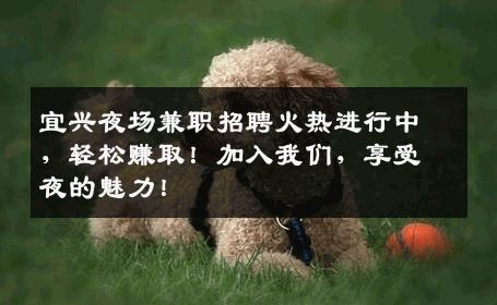 宜兴夜场兼职招聘火热进行中，轻松赚取！加入我们，享受夜的魅力！