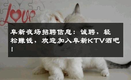 阜新夜场招聘信息：诚聘，轻松赚钱，欢迎加入阜新KTV酒吧！