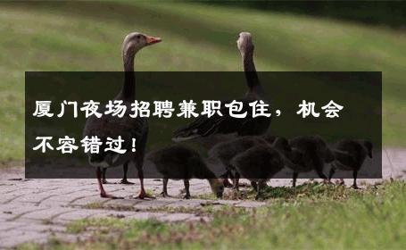 厦门夜场招聘兼职包住，机会不容错过！