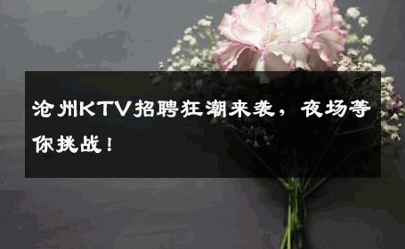 沧州KTV招聘狂潮来袭，夜场等你挑战！